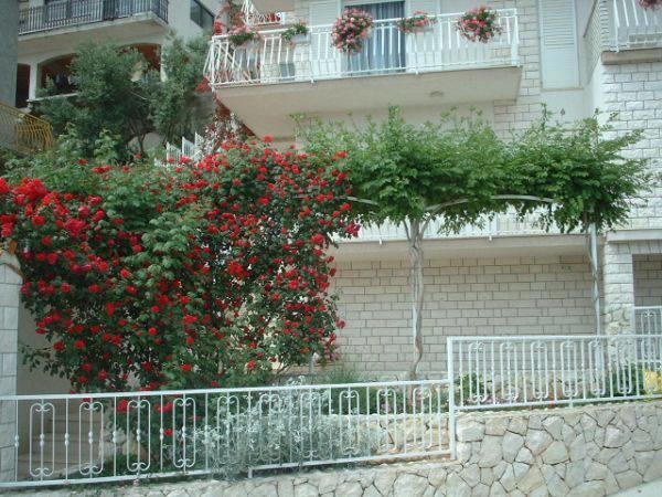 Lana Apartments Trogir Exteriér fotografie